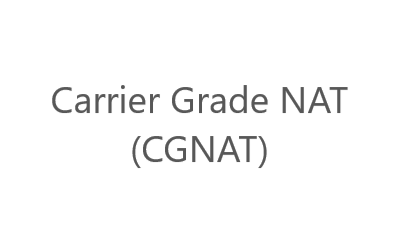 I won the battle with Carrier Grade NAT (CGNAT)!
